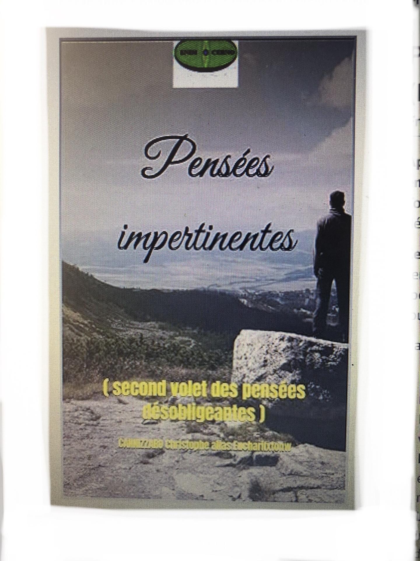 Imag pensees impertinentes