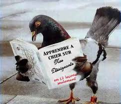 Résultat de recherche d'images pour "caricature des pigeons"