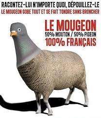 Résultat de recherche d'images pour "caricature des pigeons"
